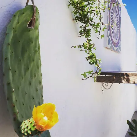 L'angolo Di - Home&terracex4 Ostuni